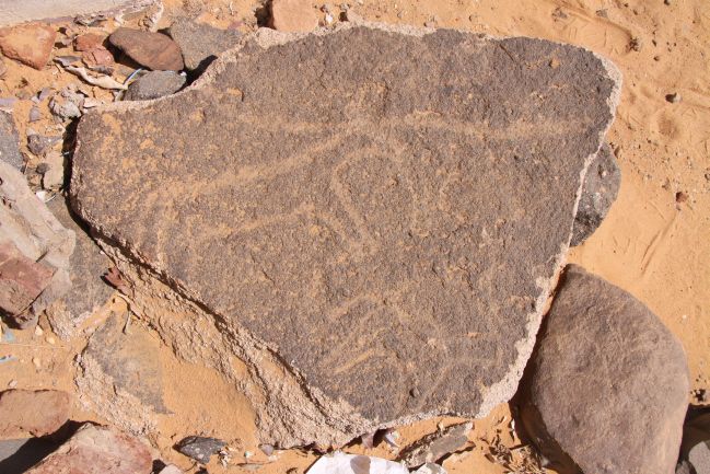 Jebel Barkal, rohatá zvěř na pravěkém skalním umění
